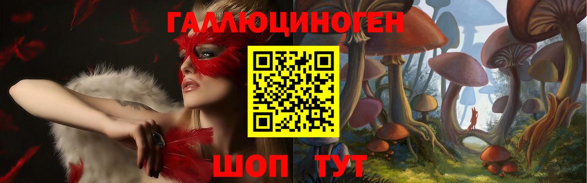 Псилоцибиновые грибы прущие грибы Тихорецк