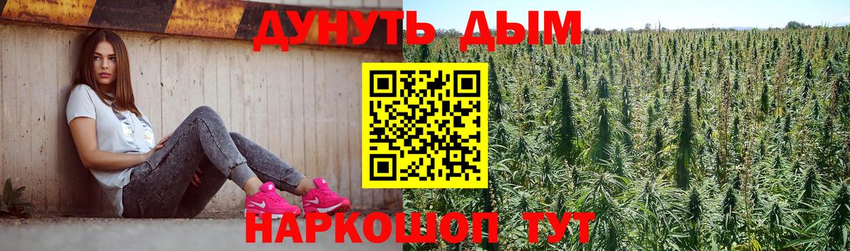 Тихорецк  Бошки марихуана Bruce Banner  Шишки марихуана сатива  Вход с VPN  Бошки марихуана планчик 